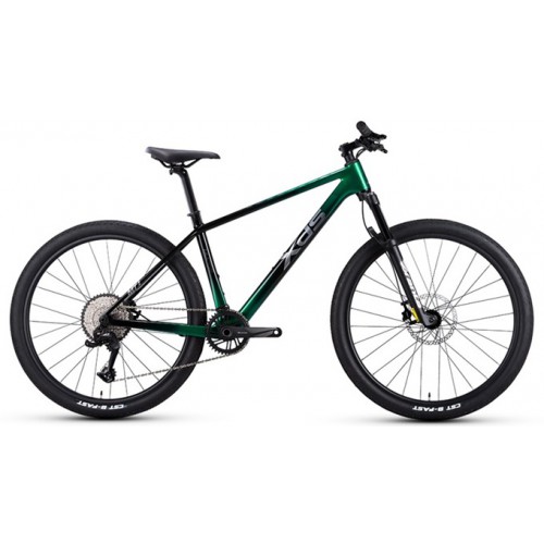 XDS MT1 碳纖維車架油壓碟刹內走線10速山地車 